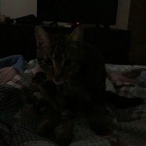 Meet your Posher, Miguel